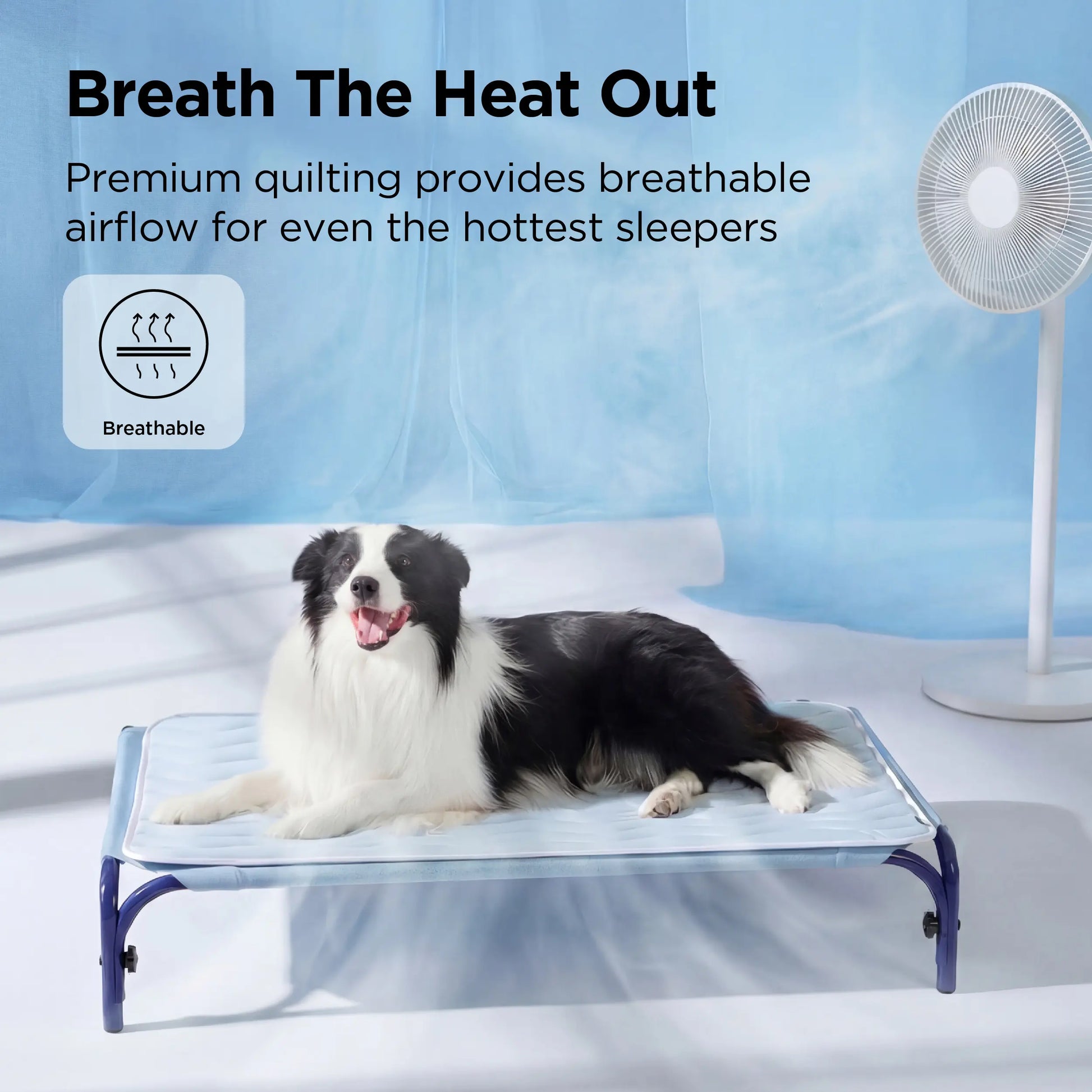 PawDove Cooling Thin & Thick Mat for Dogs