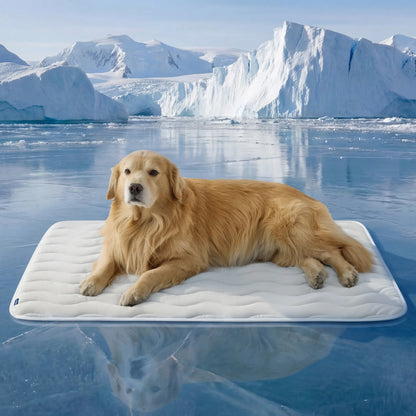 PawDove Cooling Thin & Thick Mat for Dogs