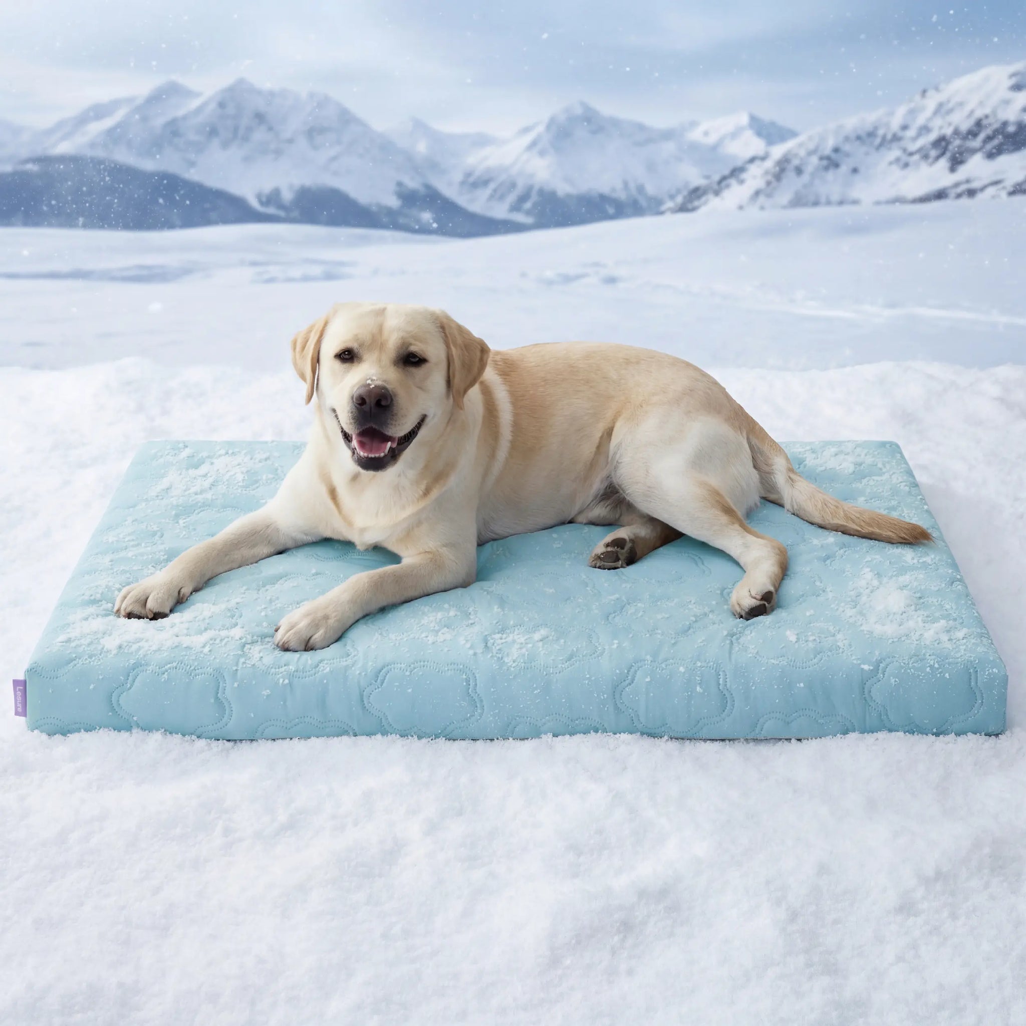 PawDove Cooling Thin & Thick Mat for Dogs