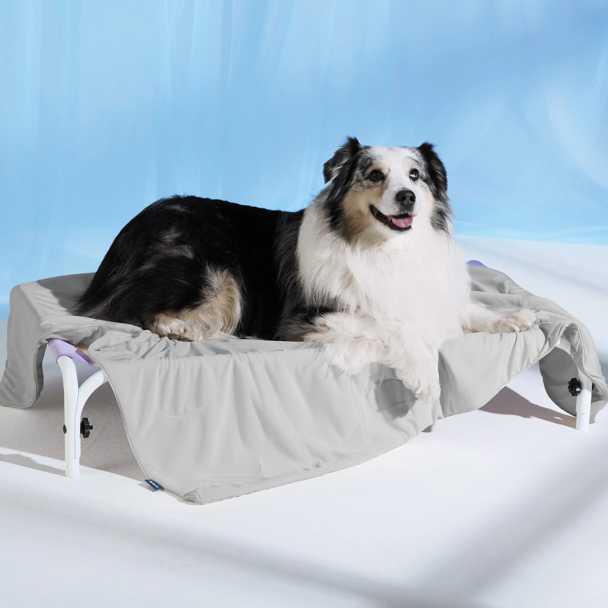 PawDove Cooling Thin & Thick Mat for Dogs