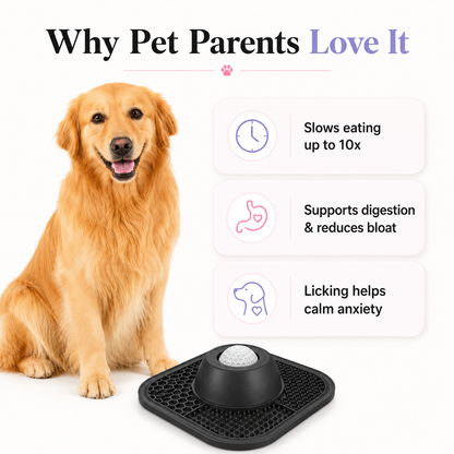 PawDove™ Interactive Slow Feeder