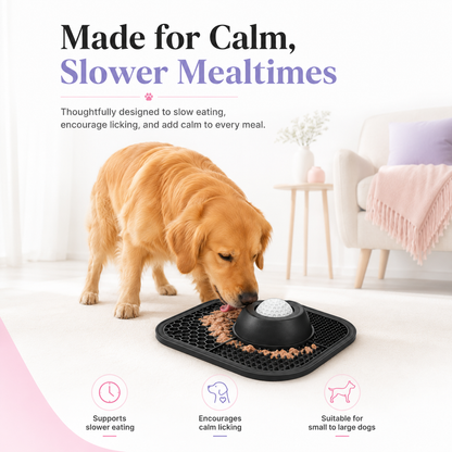 PawDove™ Interactive Slow Feeder