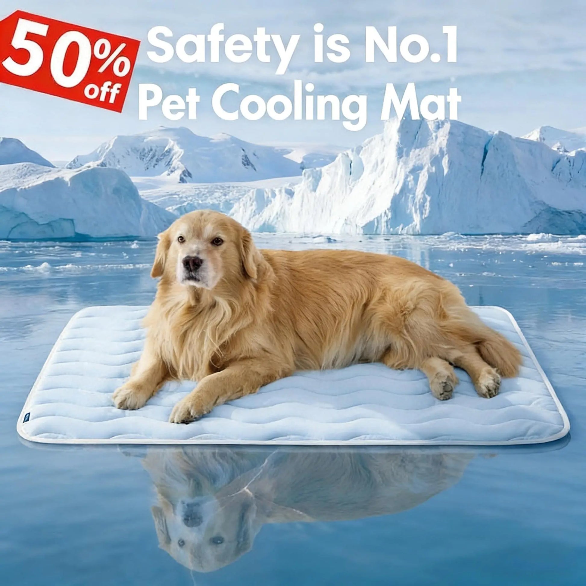 PawDove Cooling Thin & Thick Mat for Dogs