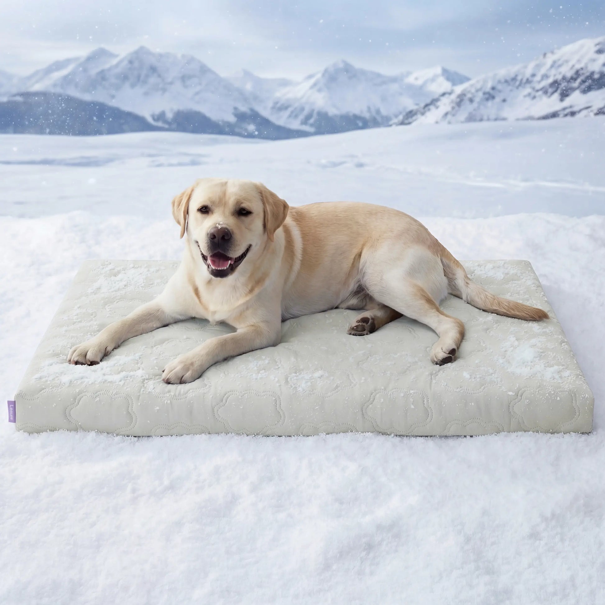 PawDove Cooling Thin & Thick Mat for Dogs