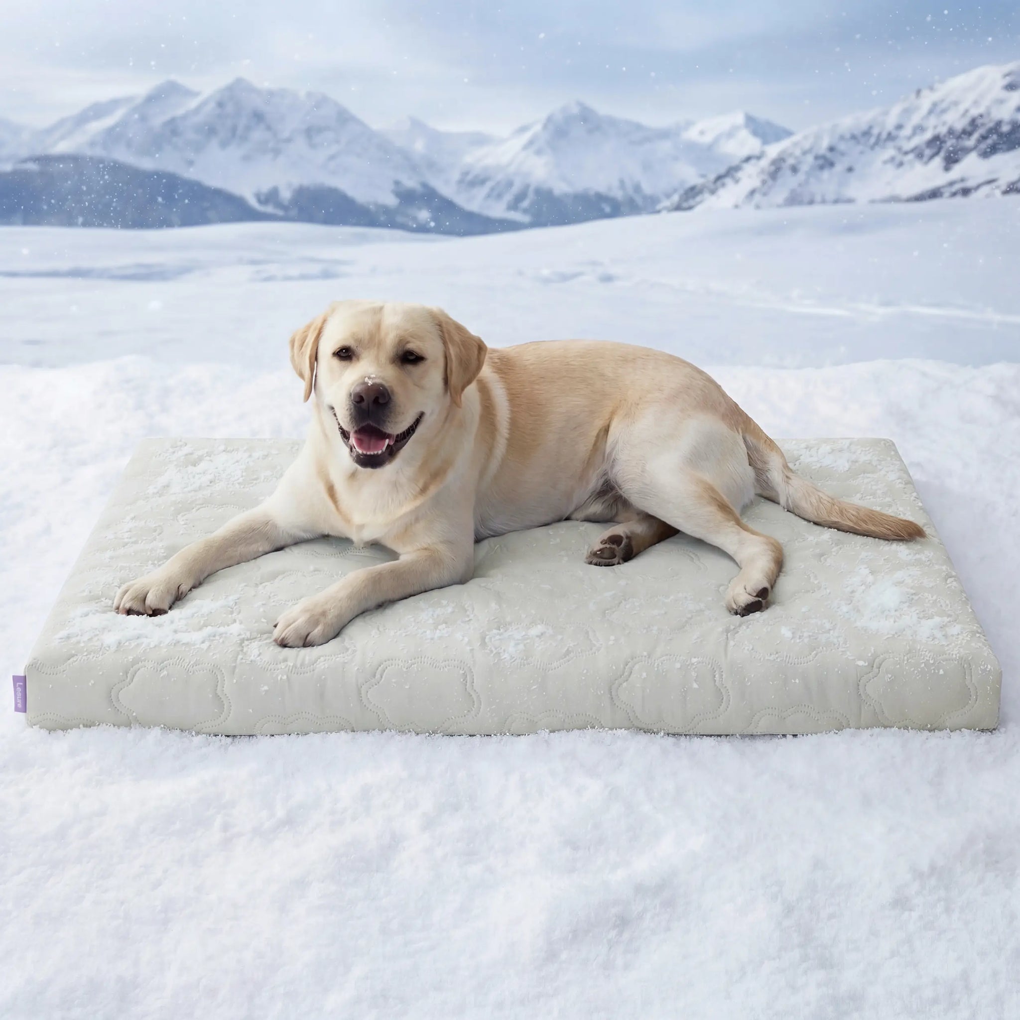 PawDove Cooling Thin & Thick Mat for Dogs
