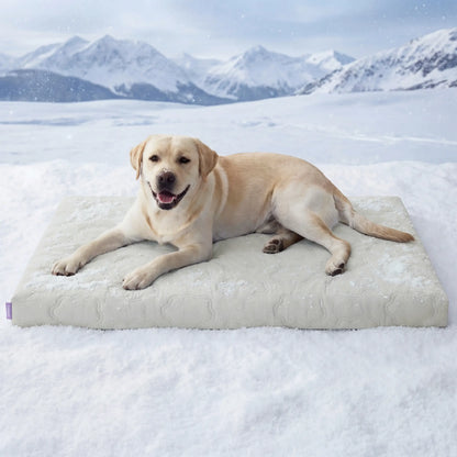 PawDove Cooling Thin & Thick Mat for Dogs