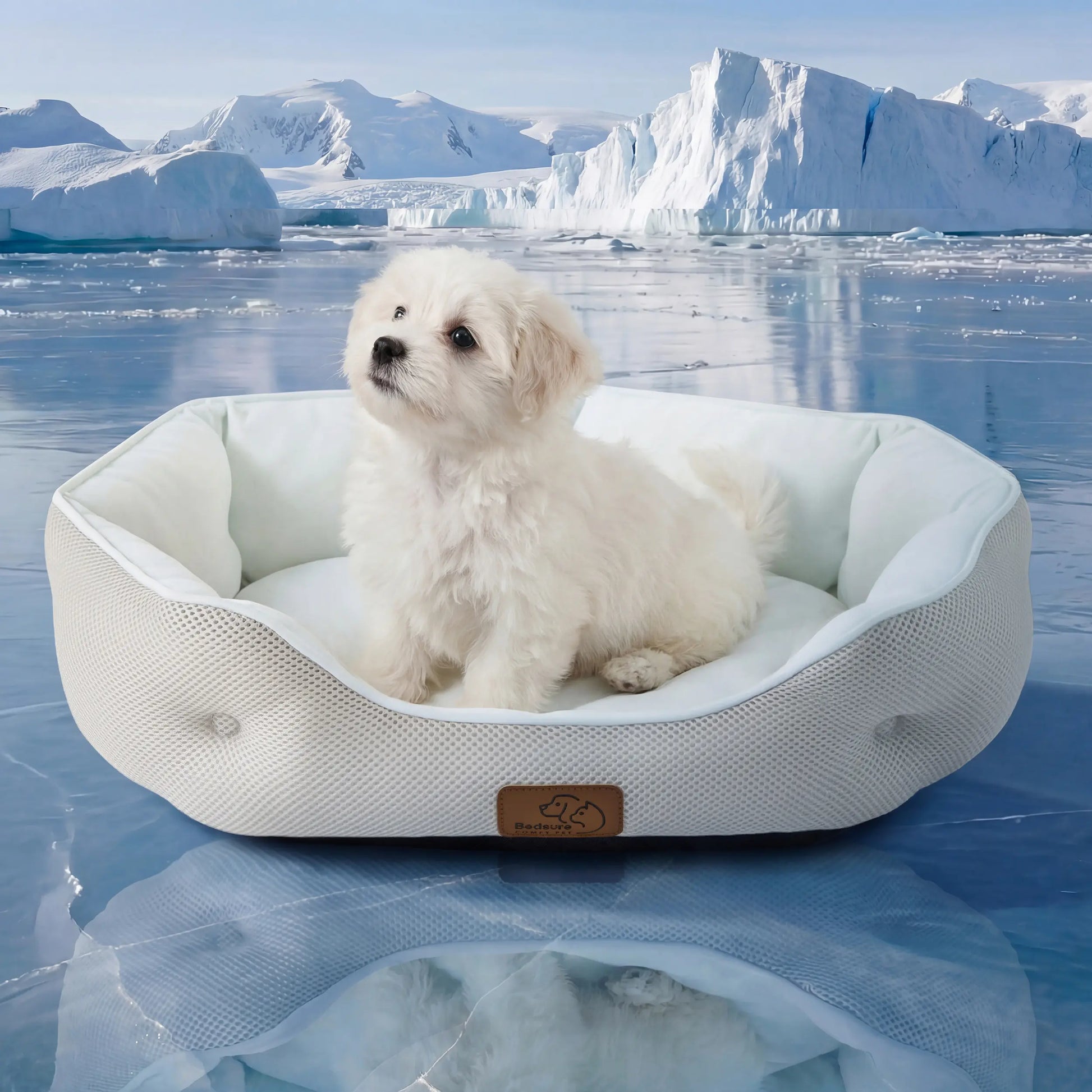 PawDove Cooling Thin & Thick Mat for Dogs